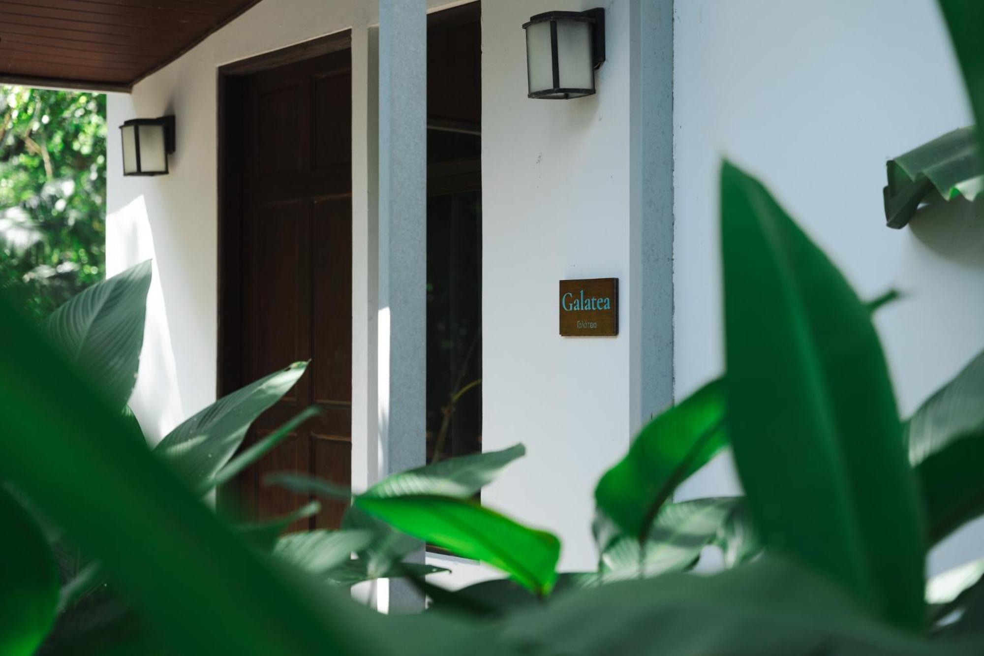 Nereus Hotel Puerto Jiménez Exterior photo